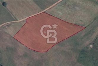 CB NETA'DAN GEBZE MOLLAFENARİ 230 m² SATILIK KÖŞE PARSEL ARSA 