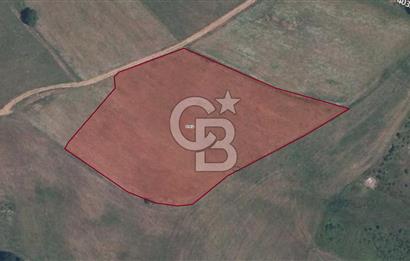 CB NETA'DAN GEBZE MOLLAFENARİ 230 m² SATILIK KÖŞE PARSEL ARSA 