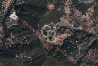 CB NETA ÖMER ÜNSAL'DAN 1977 m²  YOLA CEPHE ARSA