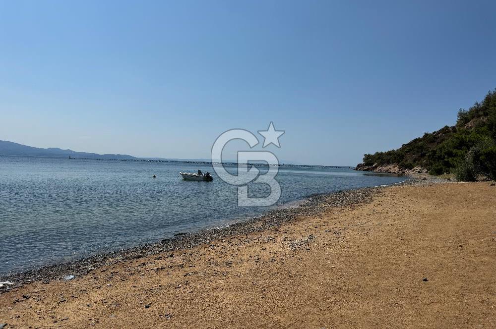 YALOVA ARMUTLUDA DENİZE SIFIR PLAJLI SİTE İÇİ 4+1 SATILIK VİLLA