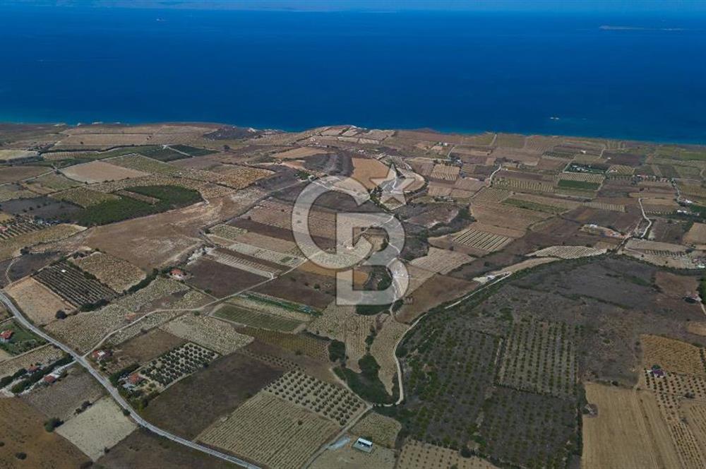 ÇANAKKALE BOZCAADA CUMHURİYET MAHALLESİ SATILIK BAĞ