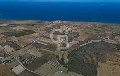 ÇANAKKALE BOZCAADA CUMHURİYET MAHALLESİ SATILIK BAĞ