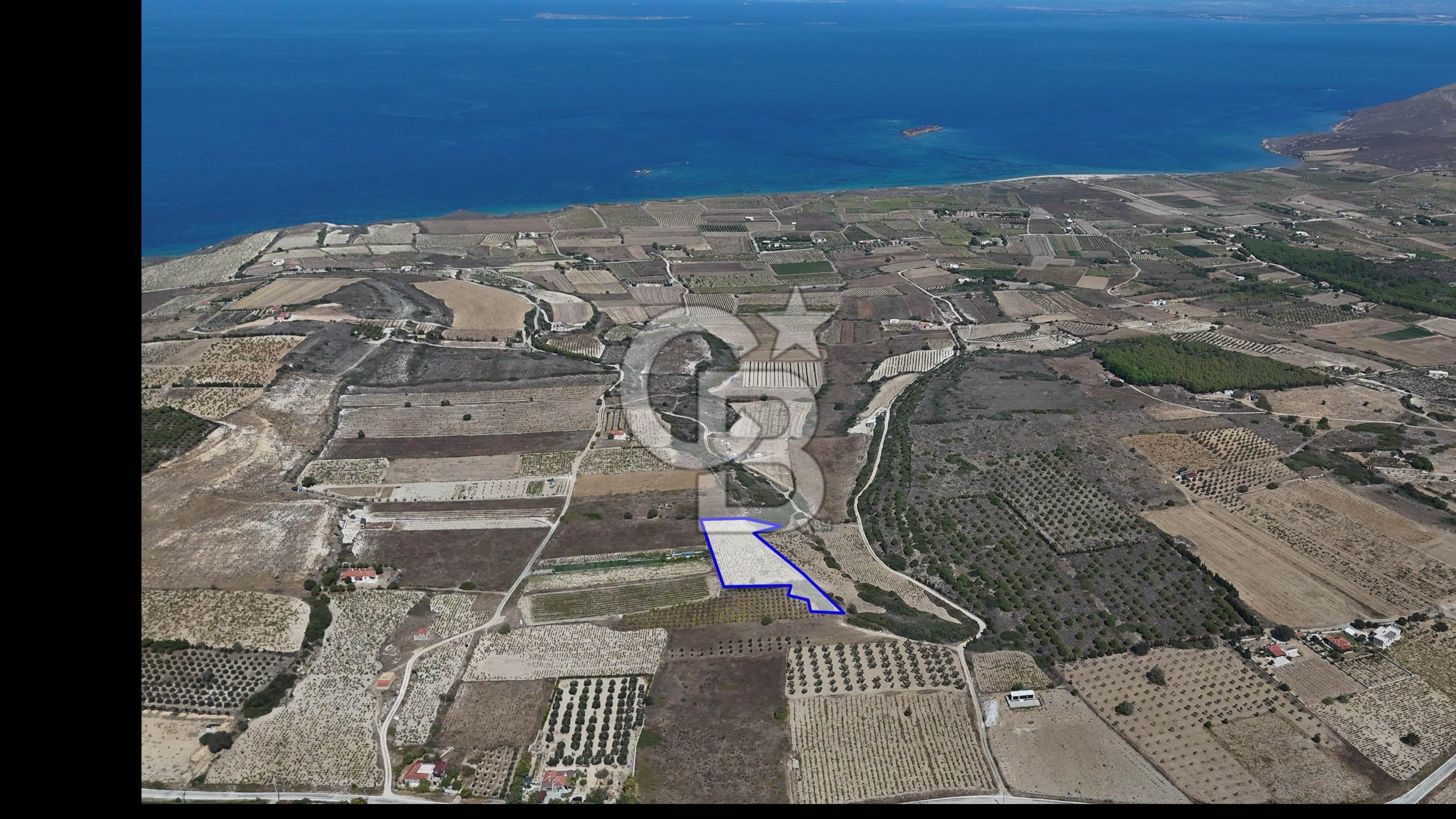 ÇANAKKALE BOZCAADA CUMHURİYET MAHALLESİ SATILIK BAĞ