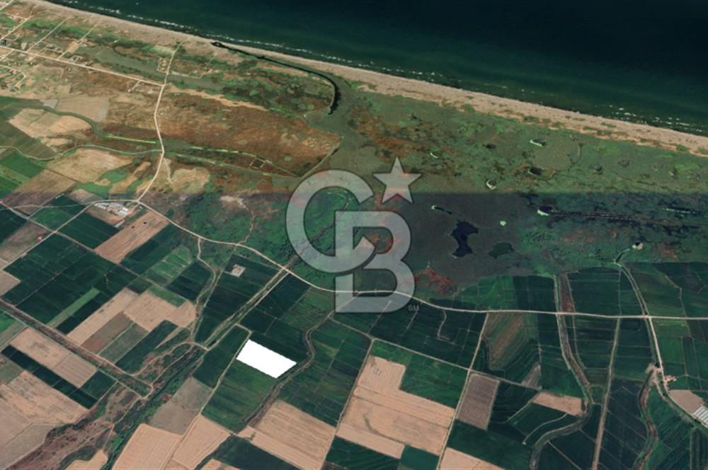 BİGA GERLENGEÇ SATILIK TARLA BAHAR KARADAL CB 1915