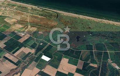 BİGA GERLENGEÇ SATILIK TARLA BAHAR KARADAL CB 1915