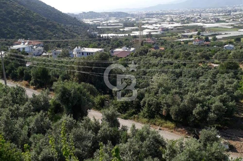 Muğla İli Fethiye İlçesi Esenköy Mahallesinde Satılık 5+1 Daire...