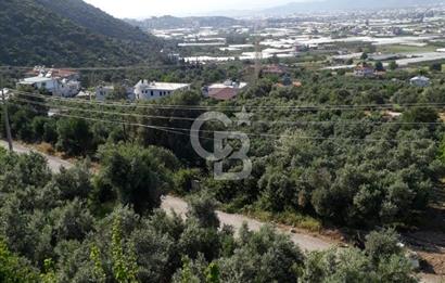 Muğla İli Fethiye İlçesi Esenköy Mahallesinde Satılık 5+1 Daire...