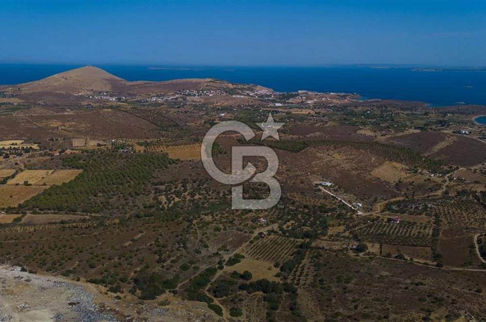 ÇANAKKALE BOZCAADA ALAYBEY’DE YATIRIMLIK FIRSAT TARLA