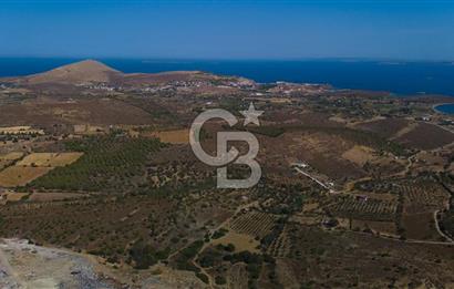 ÇANAKKALE BOZCAADA ALAYBEY’DE YATIRIMLIK FIRSAT TARLA