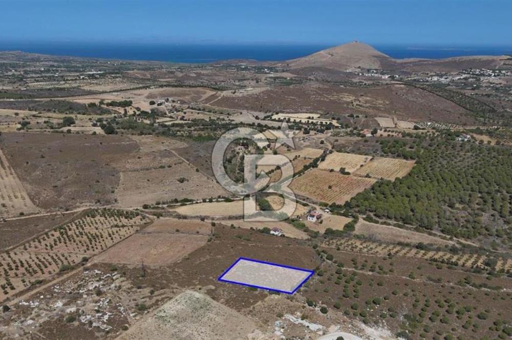 ÇANAKKALE BOZCAADA ALAYBEY’DE YATIRIMLIK FIRSAT TARLA