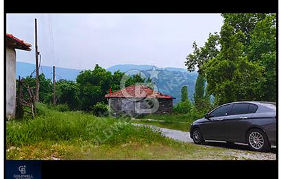 SATILIK ARSA TAPULU DAM 319 M2