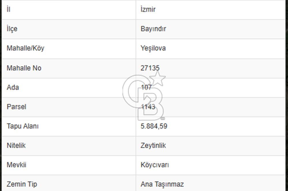 Bayındır Yeşilova Mah. Eski Çıplak Köyü Satılık Zeytinlik