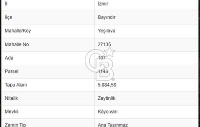 Bayındır Yeşilova Mah. Eski Çıplak Köyü Satılık Zeytinlik