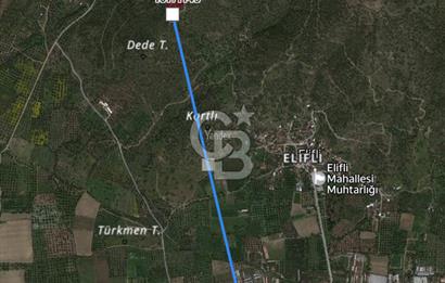 Bayındır Yeşilova Mah. Eski Çıplak Köyü Satılık Zeytinlik