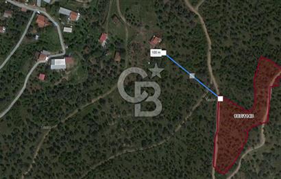 Bayındır Yeşilova Mah. Eski Çıplak Köyü Satılık Zeytinlik