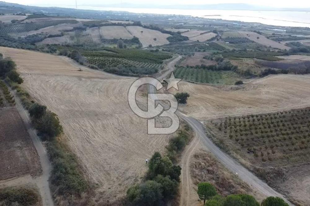 ÇANAKKALE ÇARDAK SATILIK TARLA