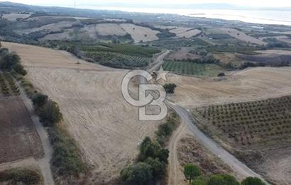 ÇANAKKALE ÇARDAK SATILIK TARLA