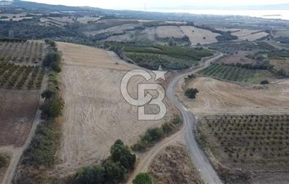 ÇANAKKALE ÇARDAK SATILIK TARLA