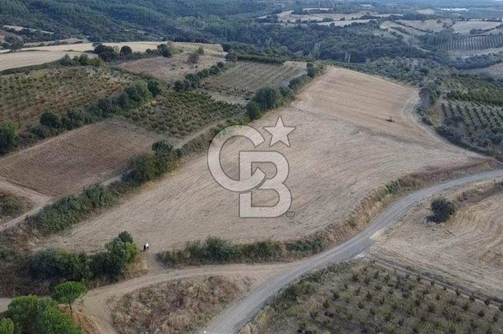 ÇANAKKALE ÇARDAK SATILIK TARLA