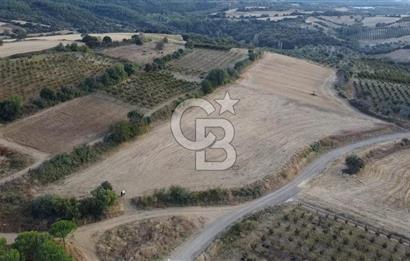 ÇANAKKALE ÇARDAK SATILIK TARLA
