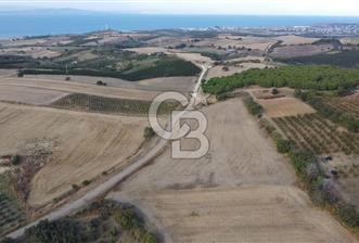 ÇANAKKALE ÇARDAK SATILIK TARLA