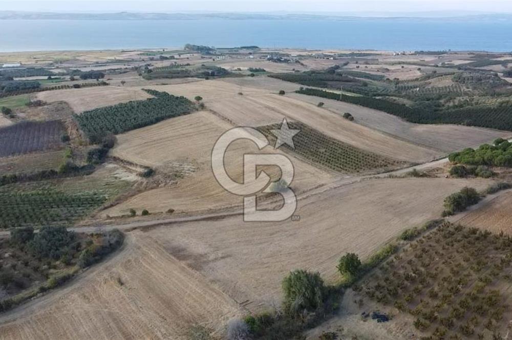 ÇANAKKALE ÇARDAK SATILIK TARLA