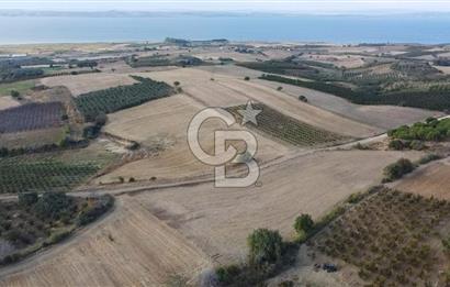 ÇANAKKALE ÇARDAK SATILIK TARLA