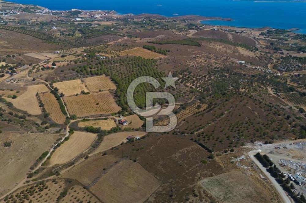 ÇANAKKALE BOZCAADA ALAYBEY’DE YATIRIMLIK FIRSAT TARLA