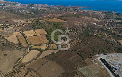 ÇANAKKALE BOZCAADA ALAYBEY’DE YATIRIMLIK FIRSAT TARLA