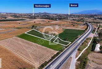 CB BLACK'TAN KARACABEY ESKİKARAAĞAÇ'TA YOLA CEPHE TARLA