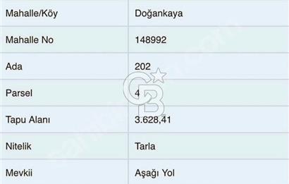 SATILIK TARLA KASTAMONU CİDE DOĞANLI İhtiyaçtan ACİL Satılık