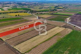Çanakkale Tevfikiye Köyünde Satılık 5.213 m2 Tarla !