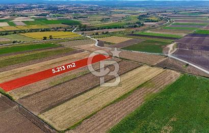 Çanakkale Tevfikiye Köyünde Satılık 5.213 m2 Tarla !