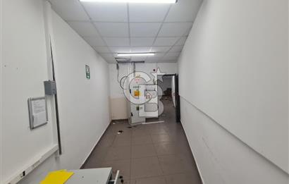 Kadıköy Acıbademde Yüksek Arsa Paylı Satılık  Dükkan