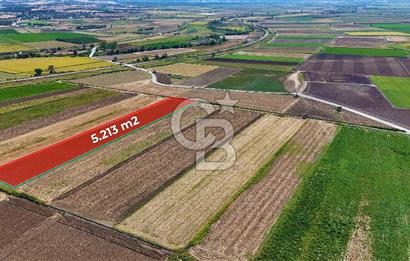 Çanakkale Tevfikiye Köyünde Satılık 5.213 m2 Tarla !