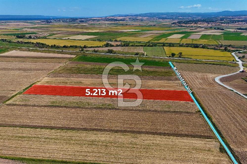 Çanakkale Tevfikiye Köyünde Satılık 5.213 m2 Tarla !