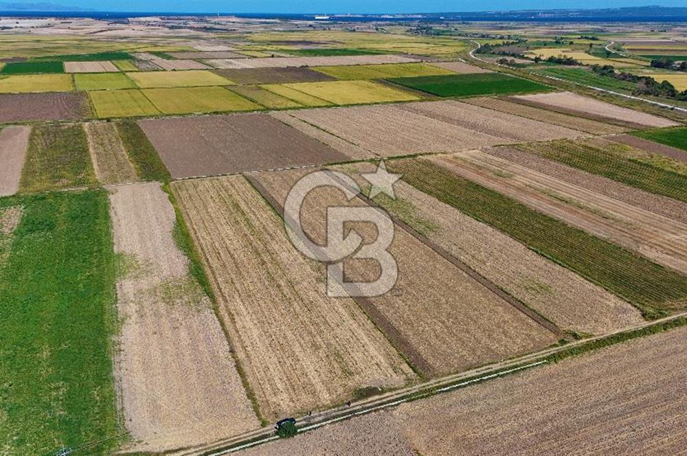 Çanakkale Tevfikiye Köyünde Satılık 5.213 m2 Tarla !