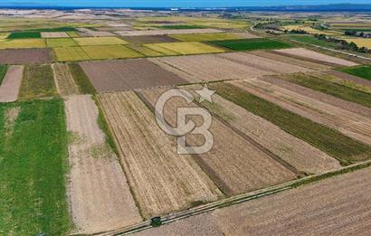 Çanakkale Tevfikiye Köyünde Satılık 5.213 m2 Tarla !