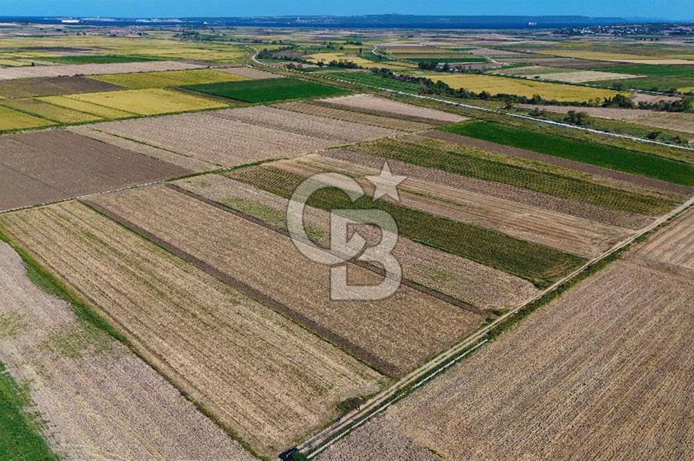 Çanakkale Tevfikiye Köyünde Satılık 5.213 m2 Tarla !