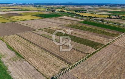 Çanakkale Tevfikiye Köyünde Satılık 5.213 m2 Tarla !