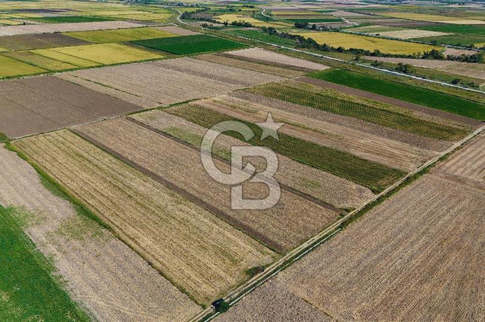Çanakkale Tevfikiye Köyünde Satılık 8.546 m2 Tarla !