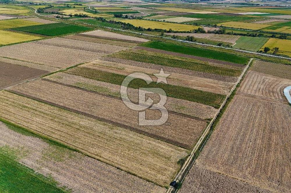 Çanakkale Tevfikiye Köyünde Satılık 8.546 m2 Tarla !