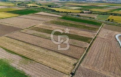 Çanakkale Tevfikiye Köyünde Satılık 8.546 m2 Tarla !