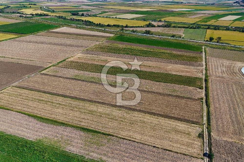 Çanakkale Tevfikiye Köyünde Satılık 8.546 m2 Tarla !
