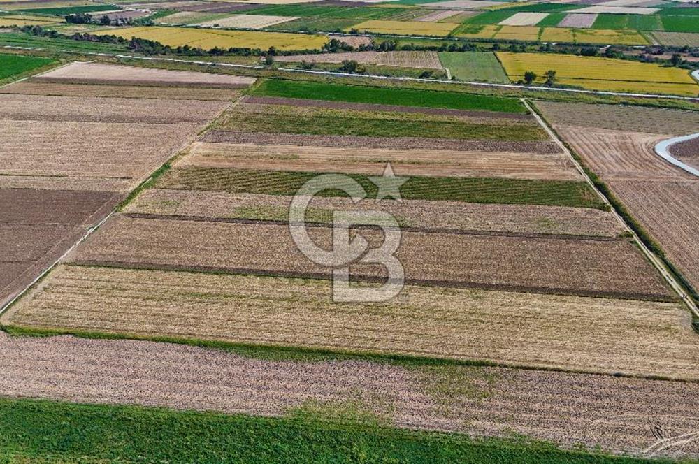Çanakkale Tevfikiye Köyünde Satılık 5.213 m2 Tarla !