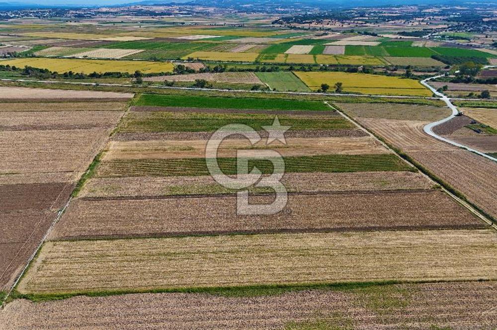 Çanakkale Tevfikiye Köyünde Satılık 8.546 m2 Tarla !