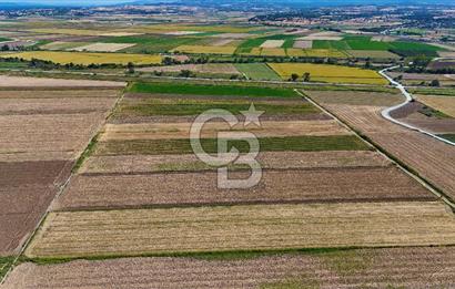Çanakkale Tevfikiye Köyünde Satılık 8.546 m2 Tarla !