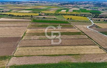 Çanakkale Tevfikiye Köyünde Satılık 5.213 m2 Tarla !