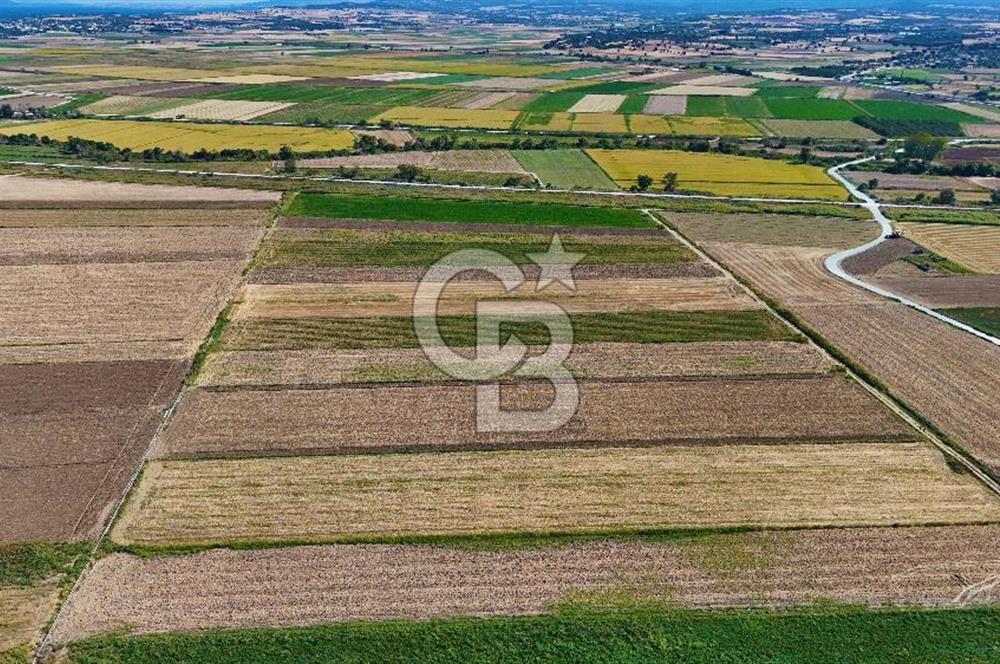 Çanakkale Tevfikiye Köyünde Satılık 8.546 m2 Tarla !