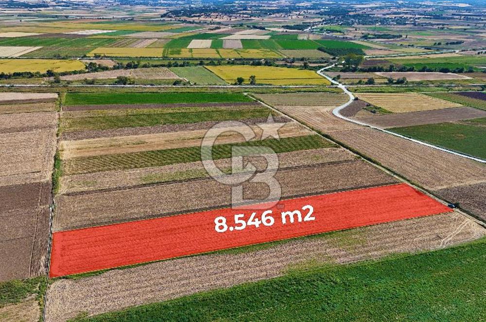 Çanakkale Tevfikiye Köyünde Satılık 8.546 m2 Tarla !